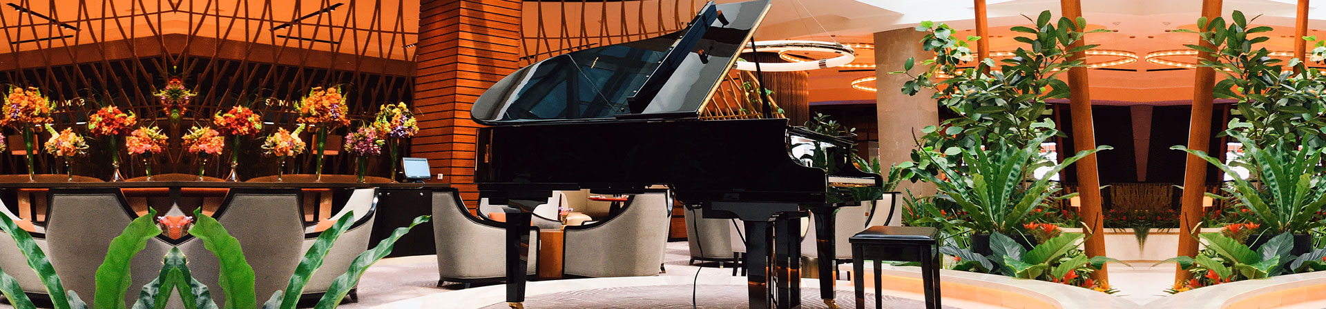 Piano Moving Services